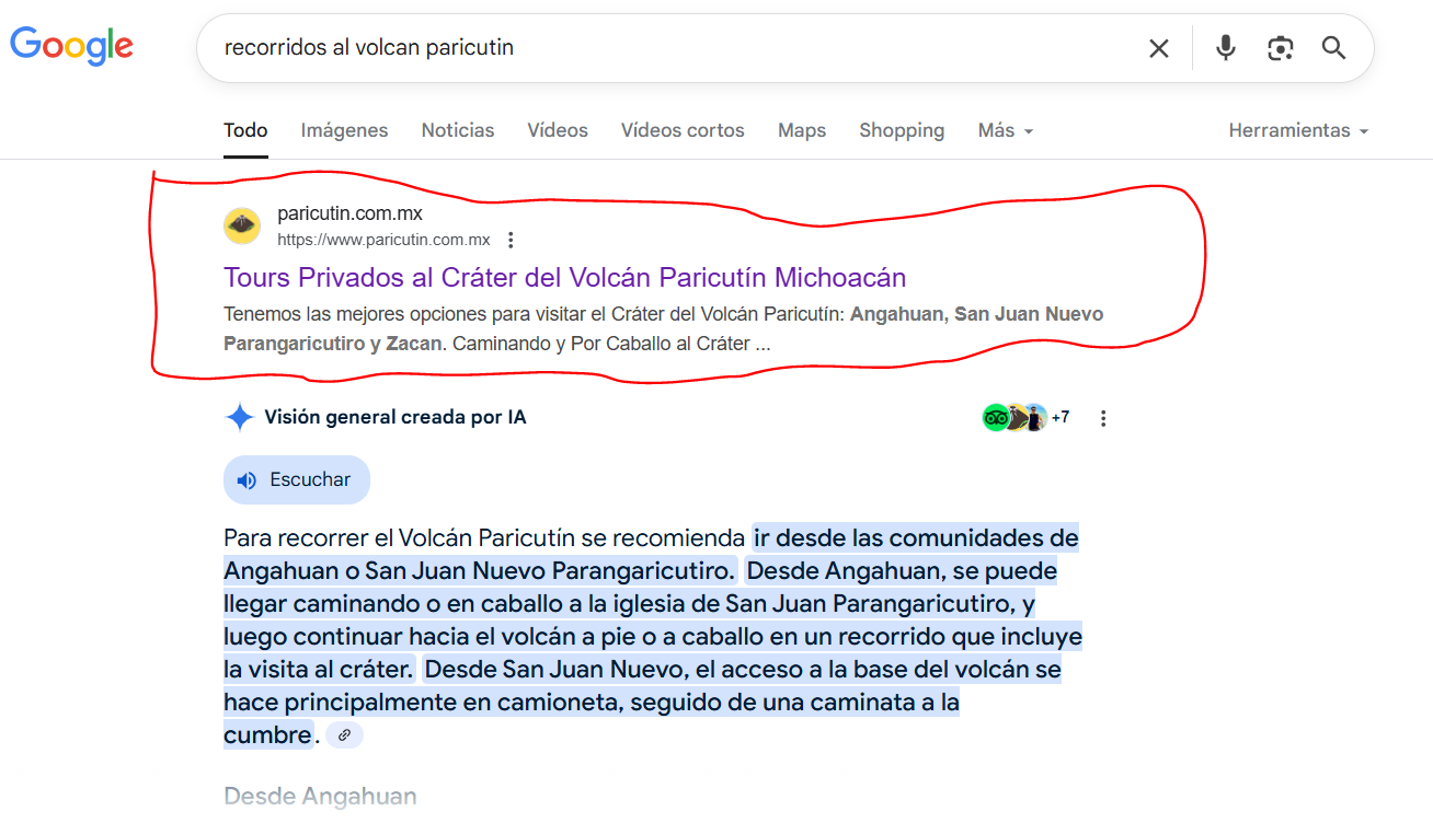 Posicionamiento de Productos y Servicios en Los Primeros Lugares 1 uno